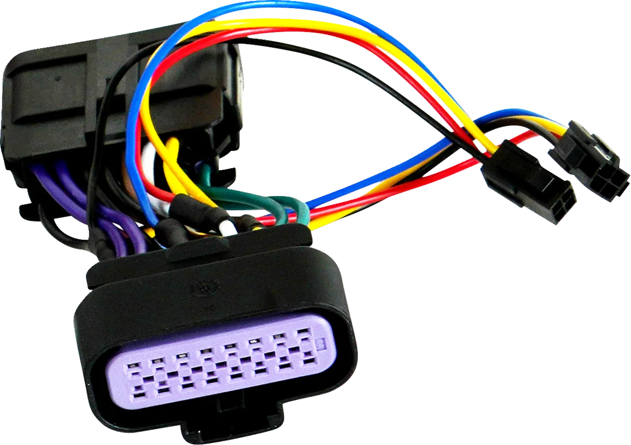 Wire Harness