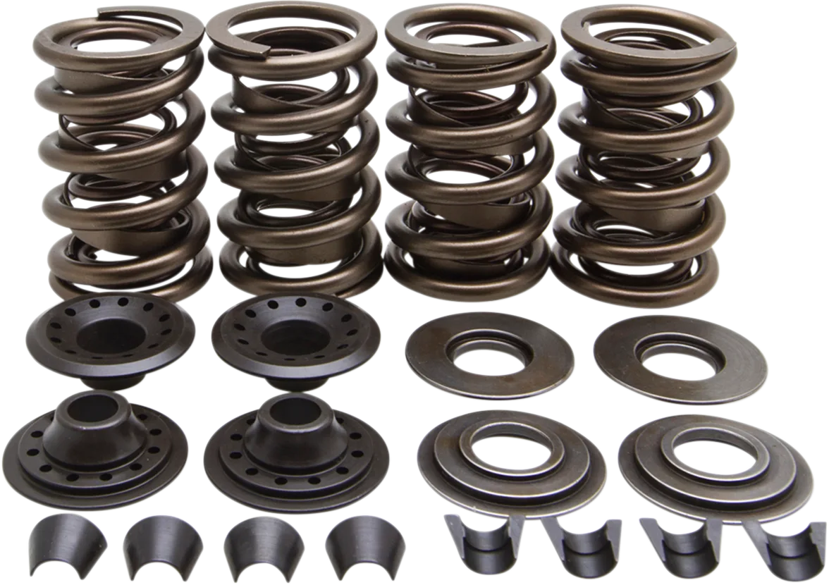 Racing Valve Spring Kit