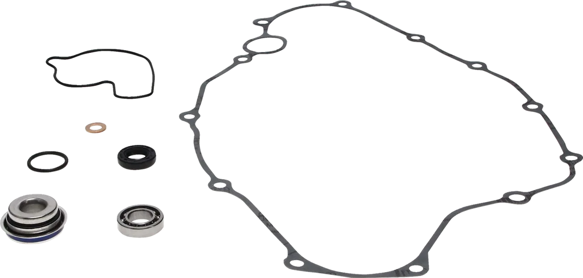 Water Pump Rebuild Kit