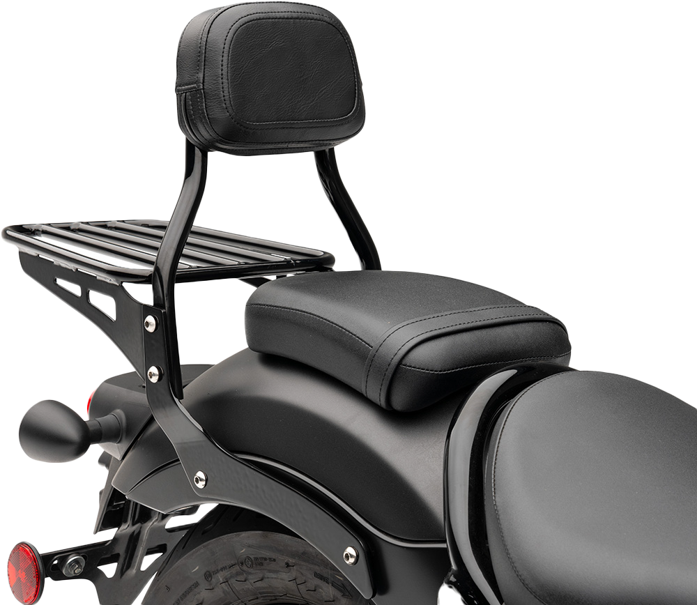 Metric Mini Sissy Bar