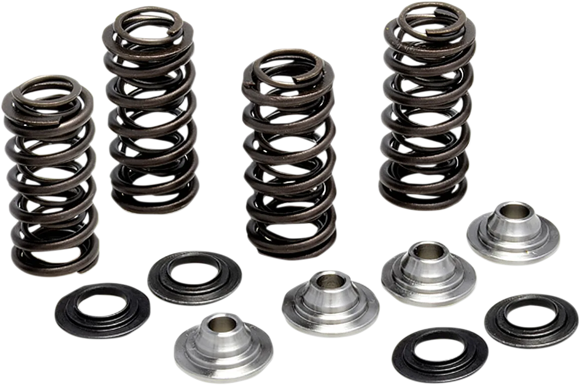 Valve Spring Kit