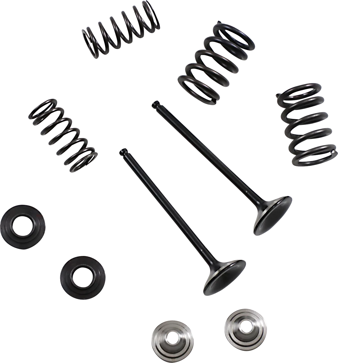 Exhaust Valve and Spring Kit