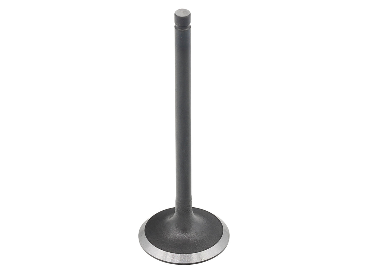 Intake Valve