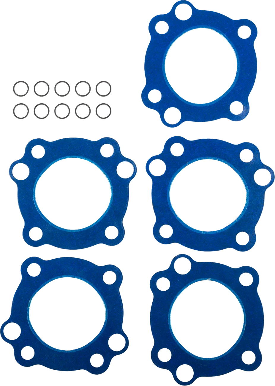 Cylinder Head Gasket/O-Rings
