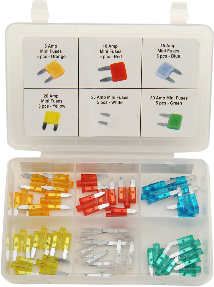 Mini Fuse Assortment