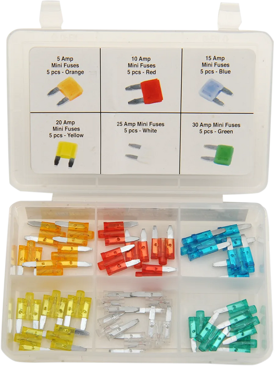 Mini Fuse Assortment