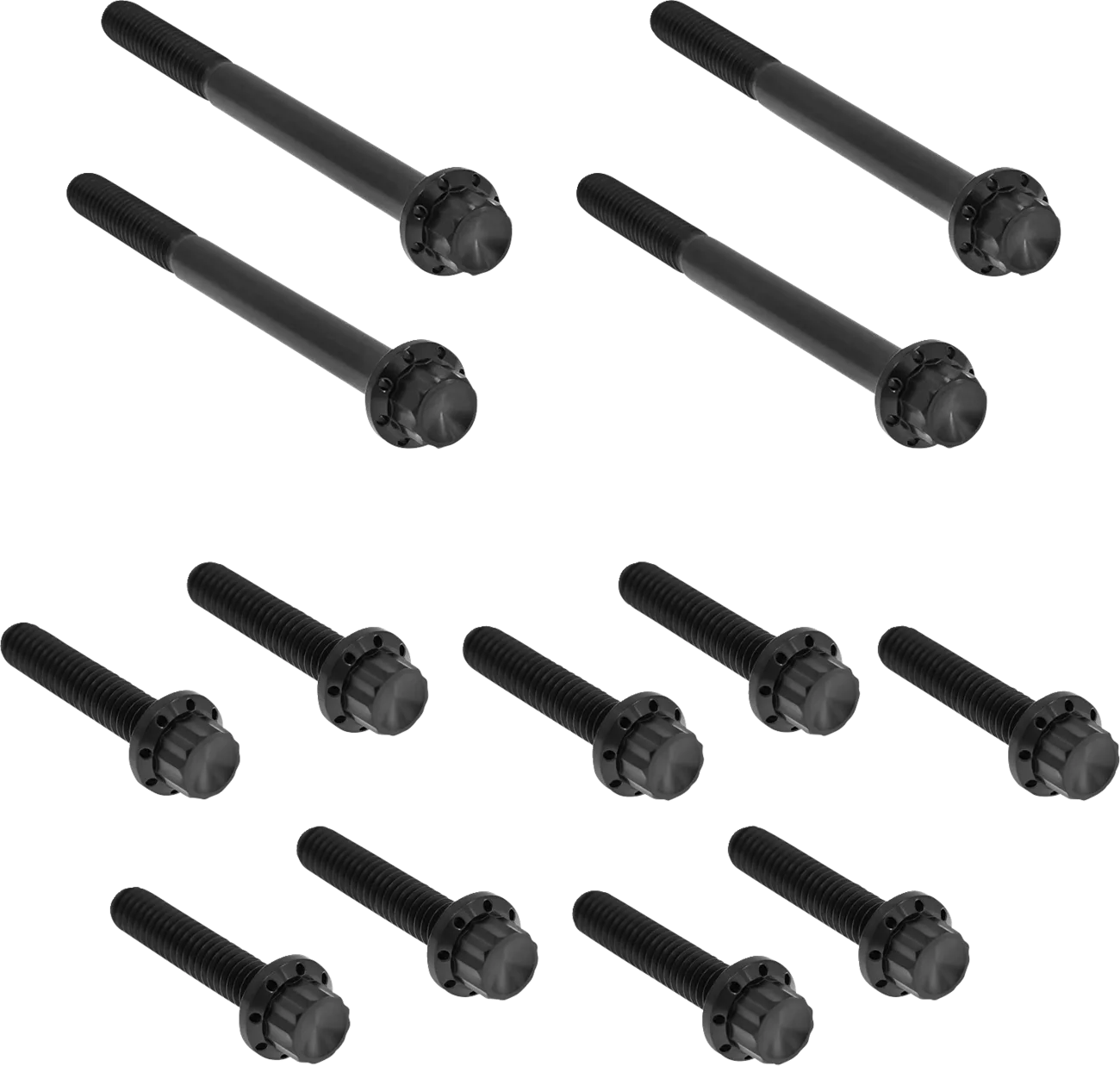 Outer Primary Cover Titanium 12-Point Bolt Kit
