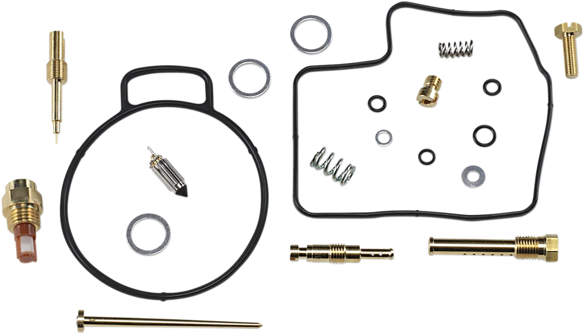 Carburetor Repair Kit