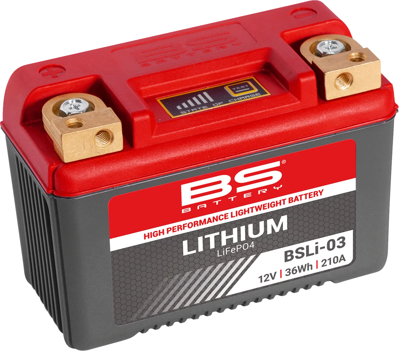 Lithium LiFePO4 Battery