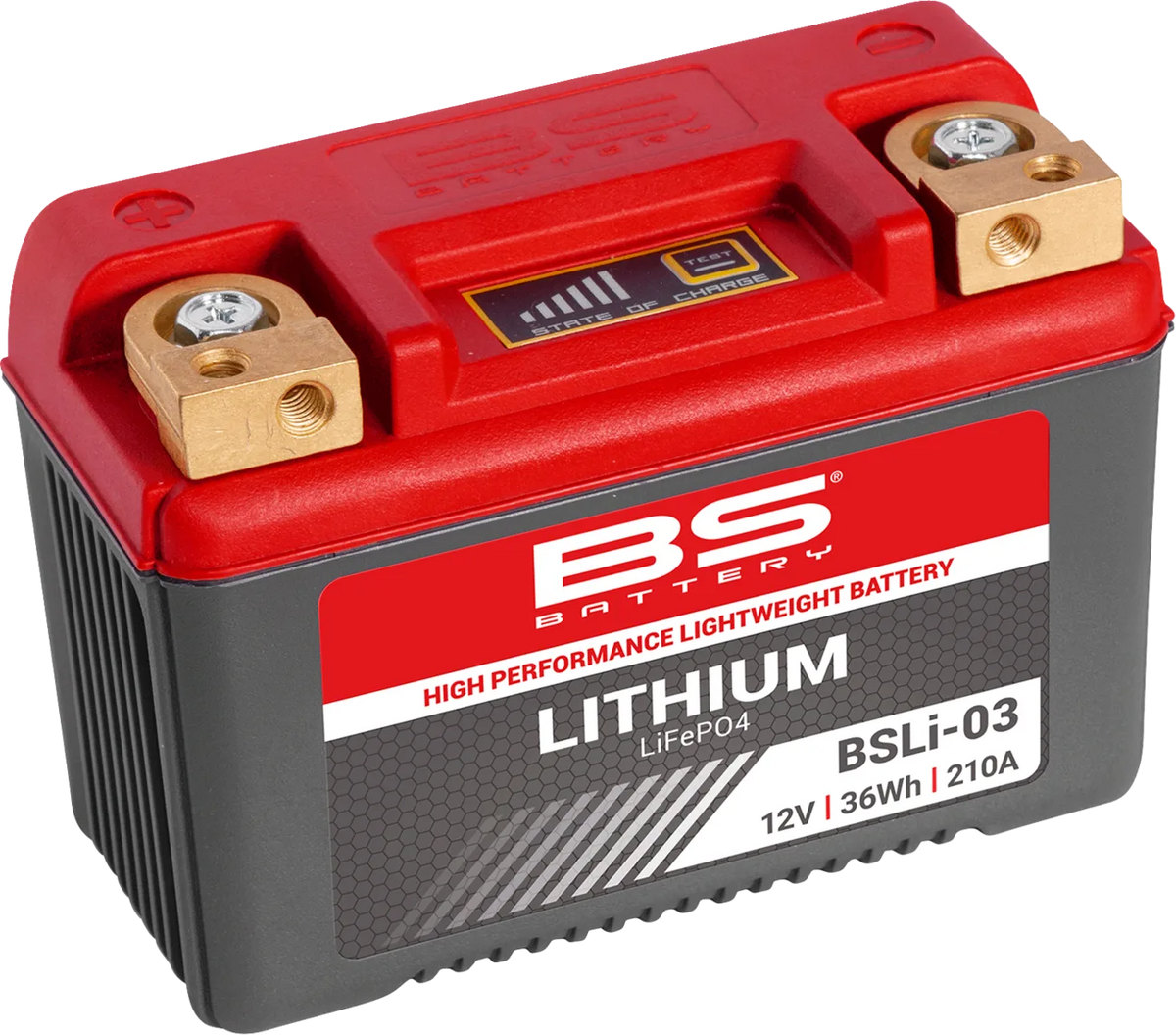 Lithium LiFePO4 Battery