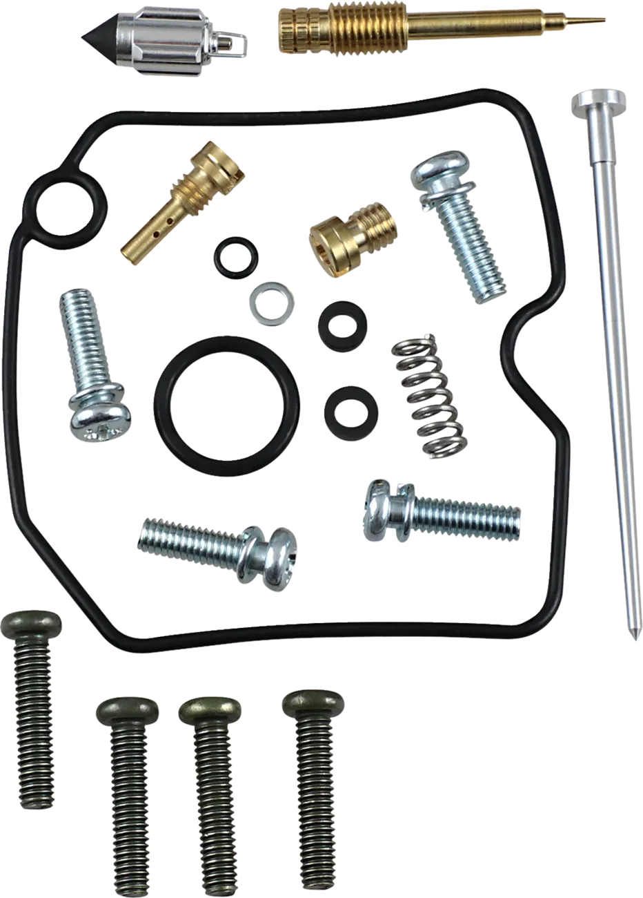 Carburetor Repair Kit