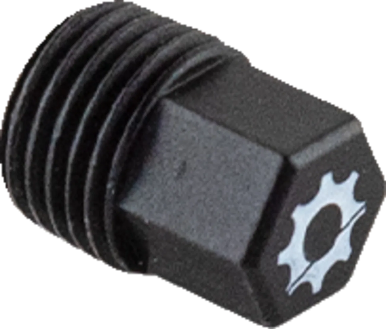 Engine Drain Plug