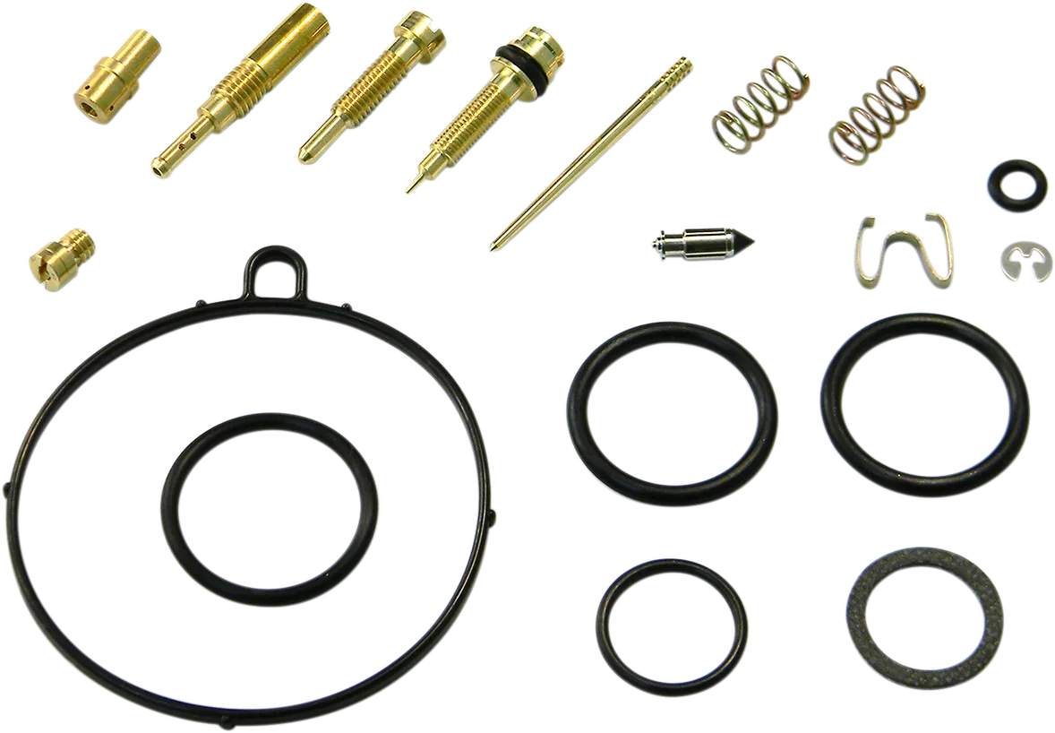 Carburetor Repair Kit