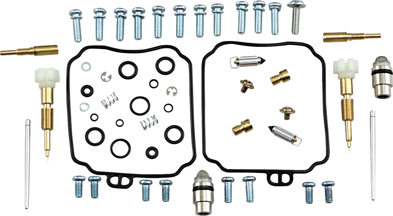 Carburetor Repair Kit