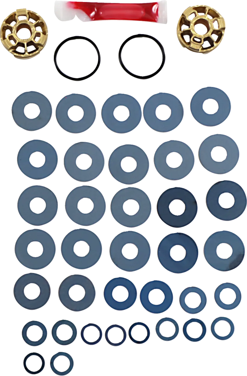 Gold Valve Fork Kit