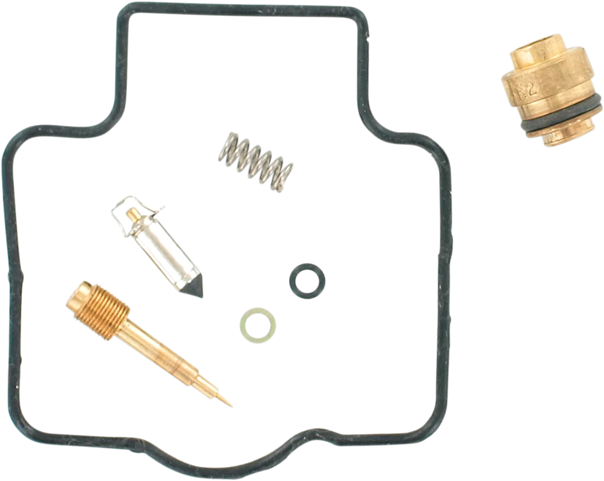 Carburetor Repair Kit