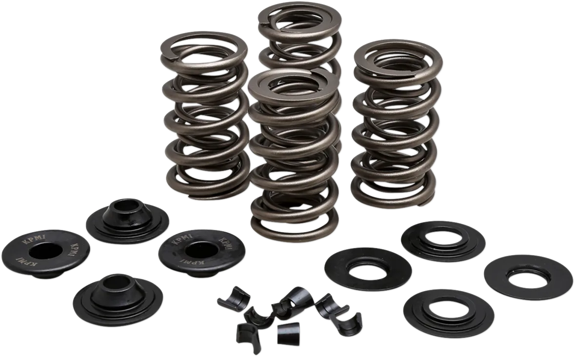 Racing Valve Spring Kit