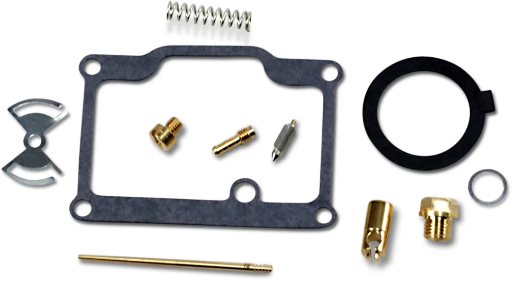 Carburetor Repair Kit
