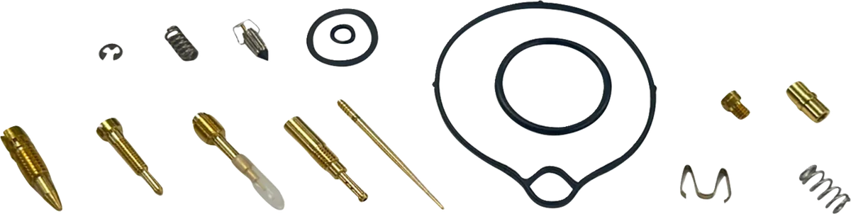 Carburetor Repair Kit