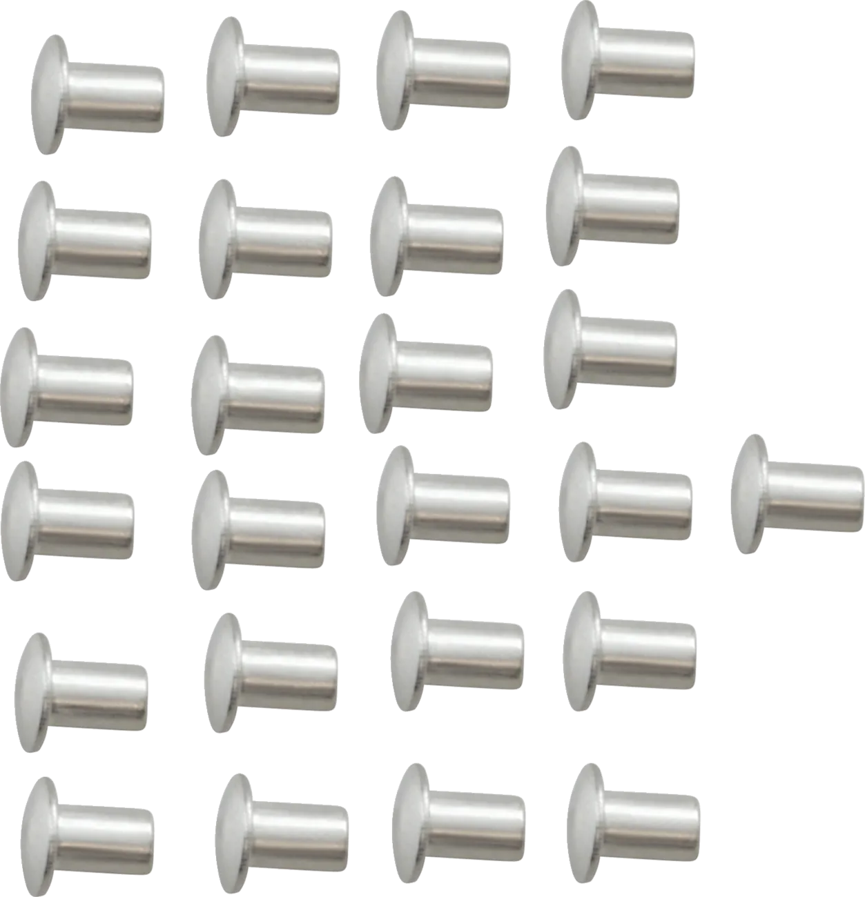 Front Fender Rivets
