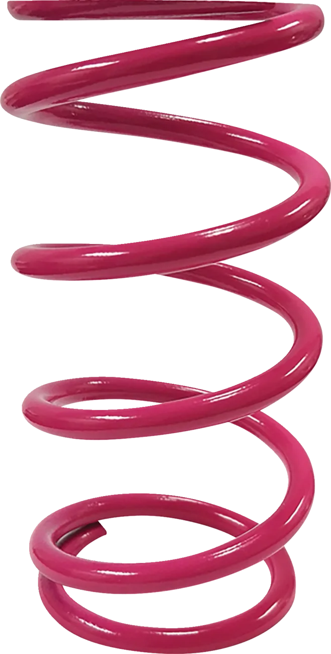 Primary Clutch Spring