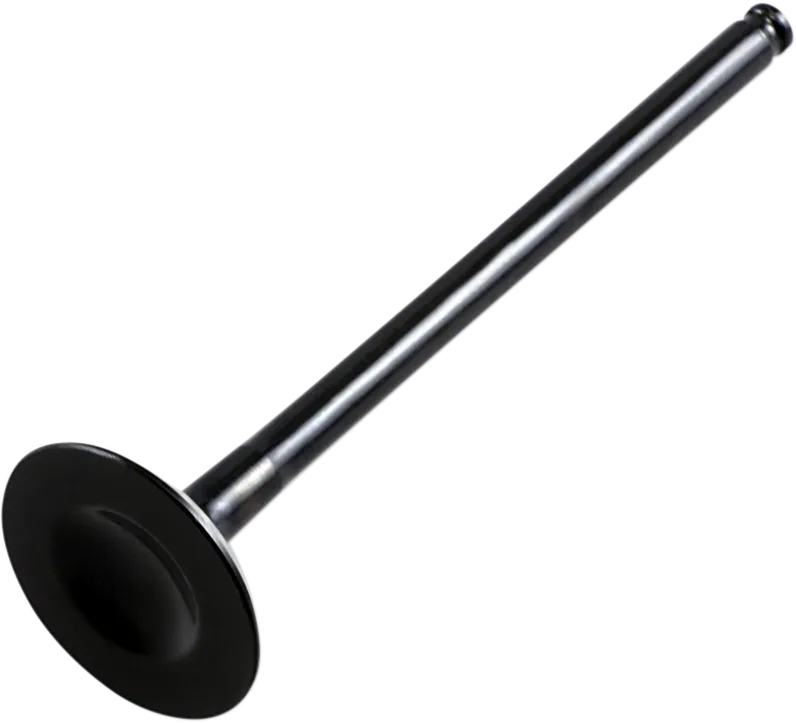 Replacement Valve
