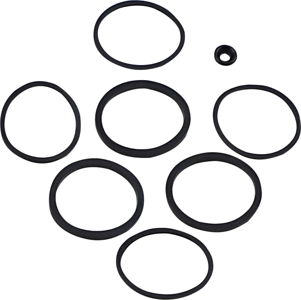 Caliper/Piston Seal Kit