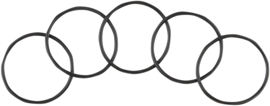 Starter O-Ring