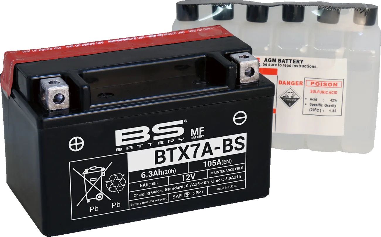 Maintenance-Free Battery