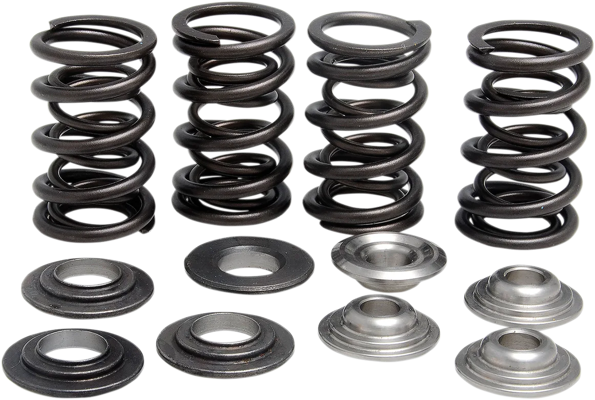 Lightweight Racing Valve Spring Kit