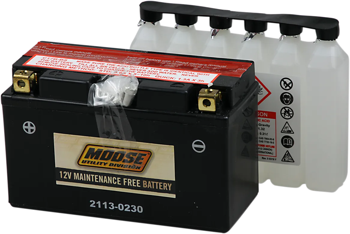 AGM Maintenance-Free Battery