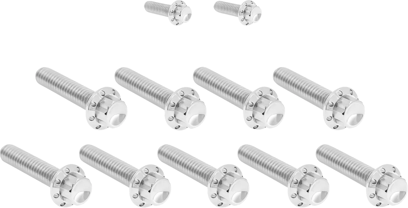Cam Cover/Point Cover Titanium 12-Point Bolt Kit