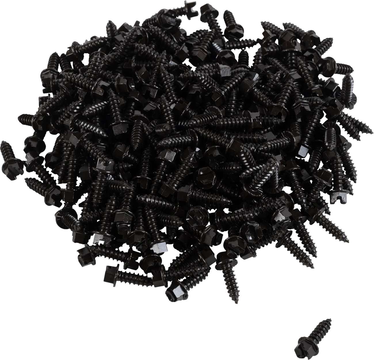 AMA Race Legal Traction Screws