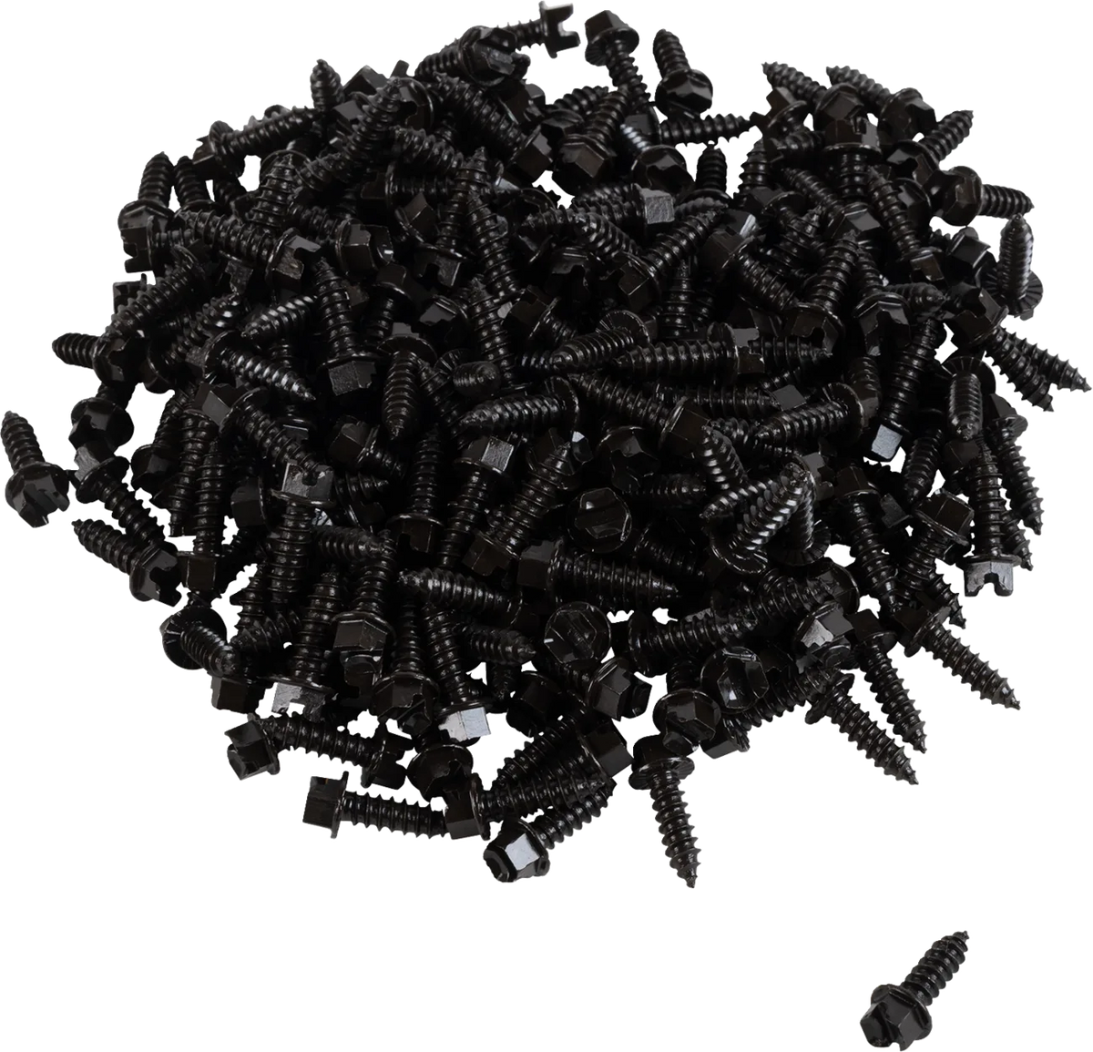 AMA Race Legal Traction Screws
