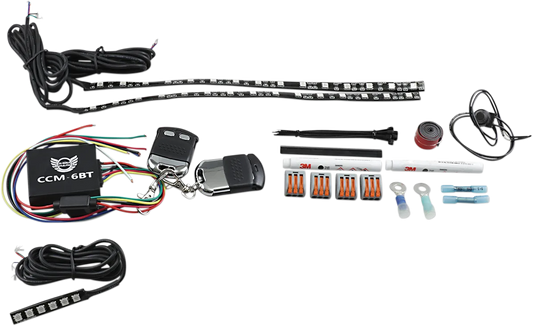 Magical Wizards™ Indian LED Engine Accent Light Kit with Bluetooth Remote