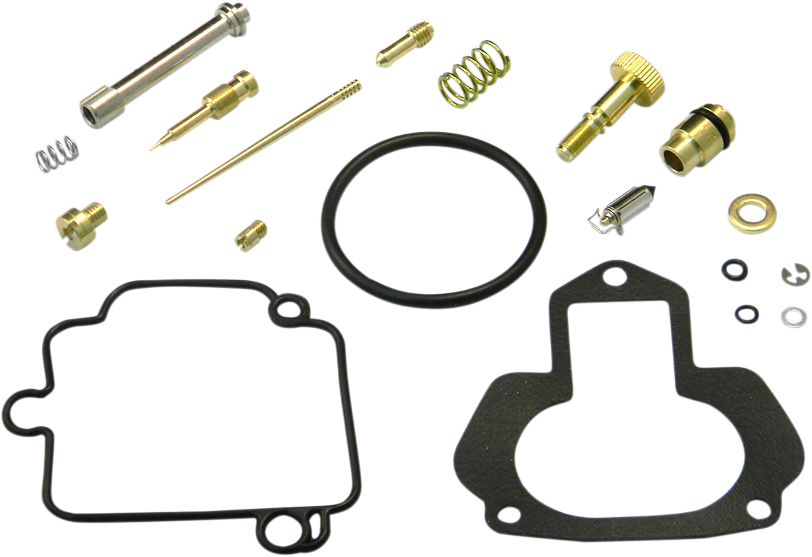 Carburetor Repair Kit