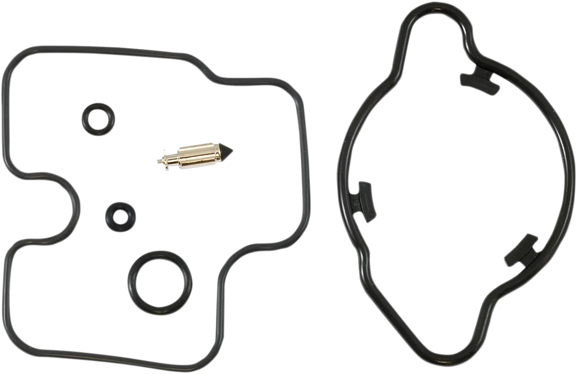 Carburetor Repair Kit