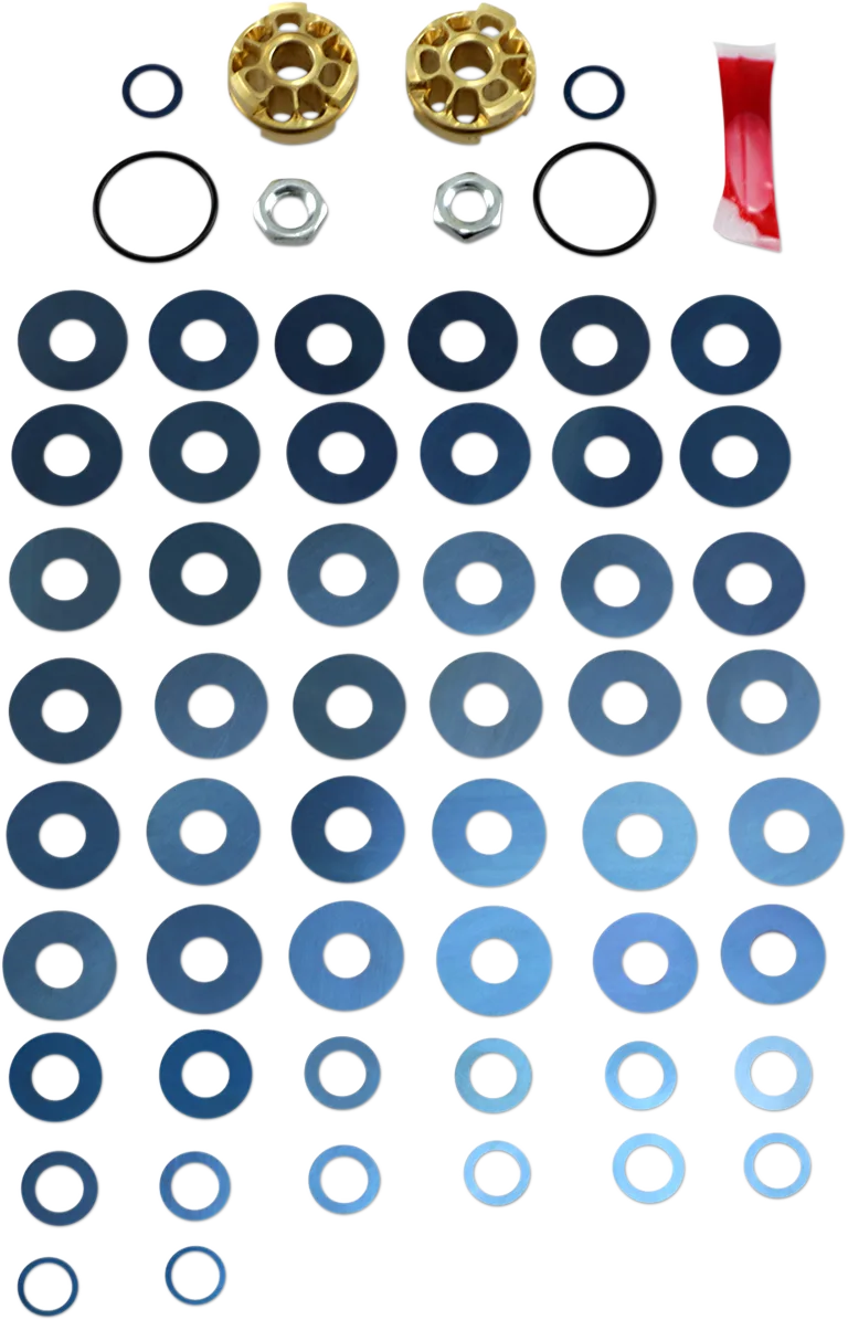 Gold Valve Fork Kit