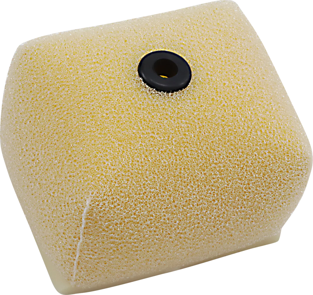Foam Air Filter