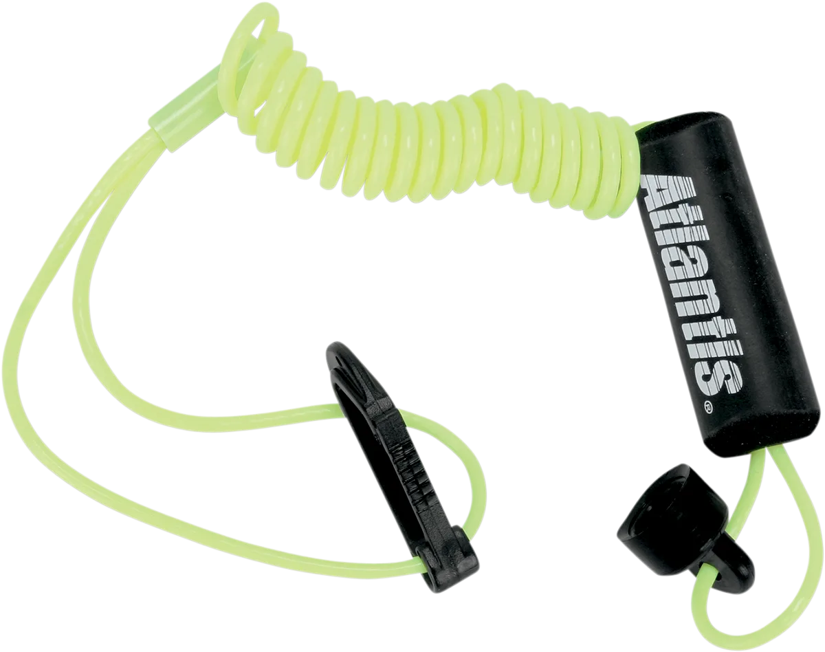 Lanyard