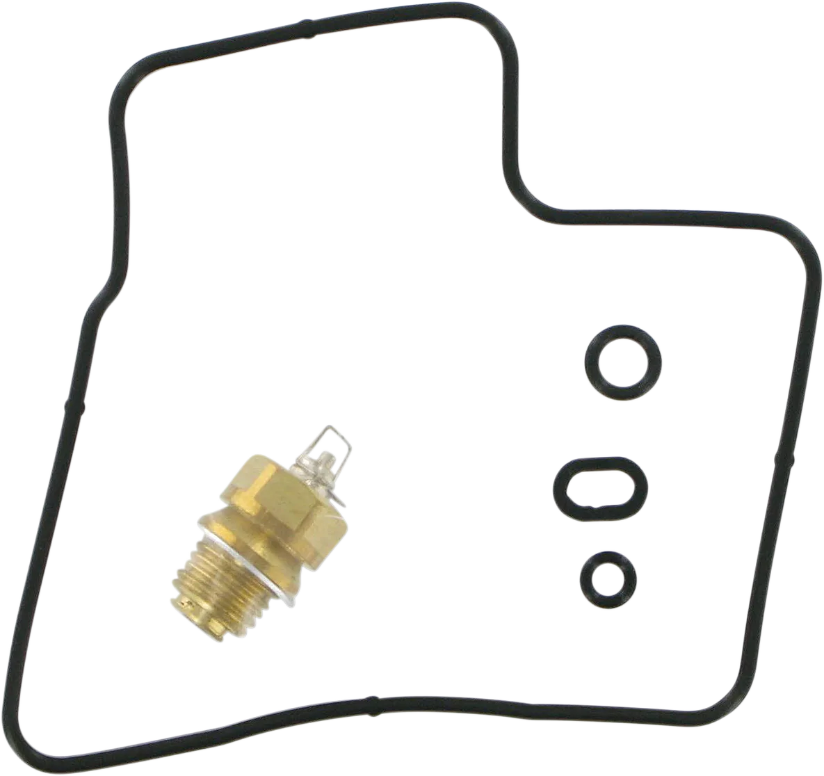 Carburetor Repair Kit