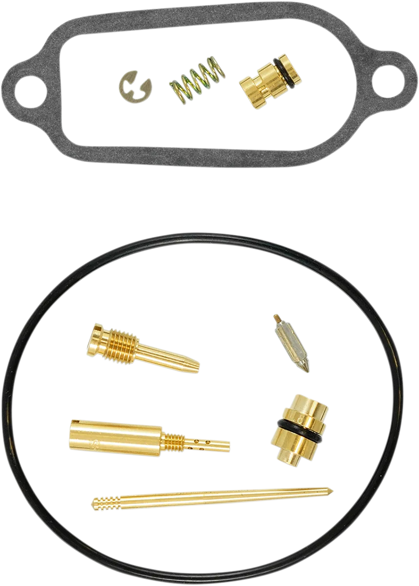 Carburetor Repair Kit