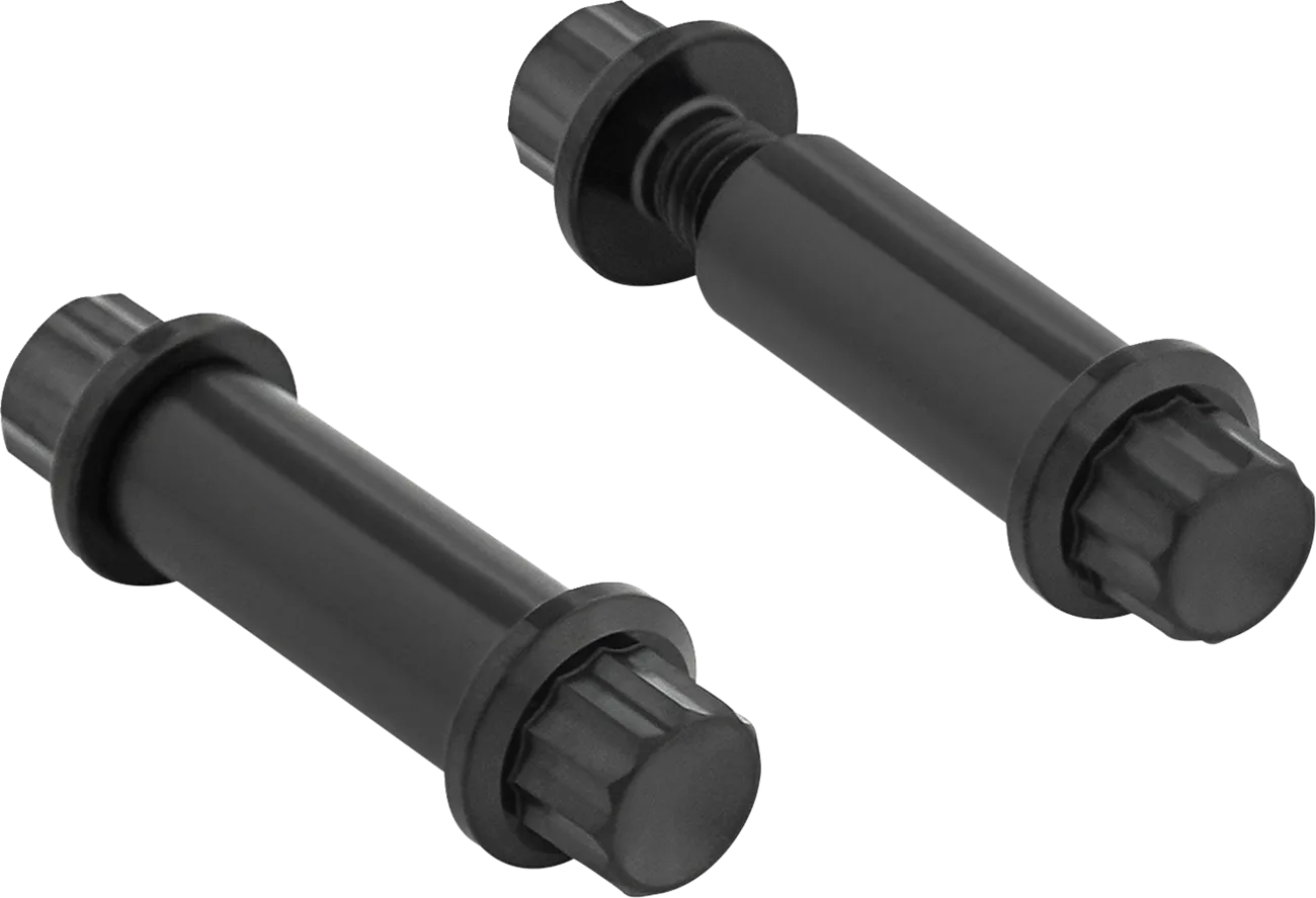 Foot Peg Titanium 12-Point Bolt Kit