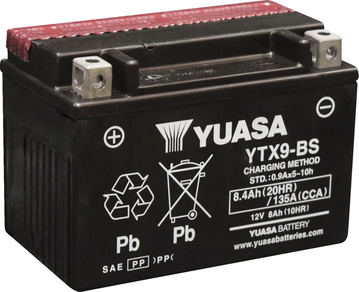 AGM Maintenance-Free Battery