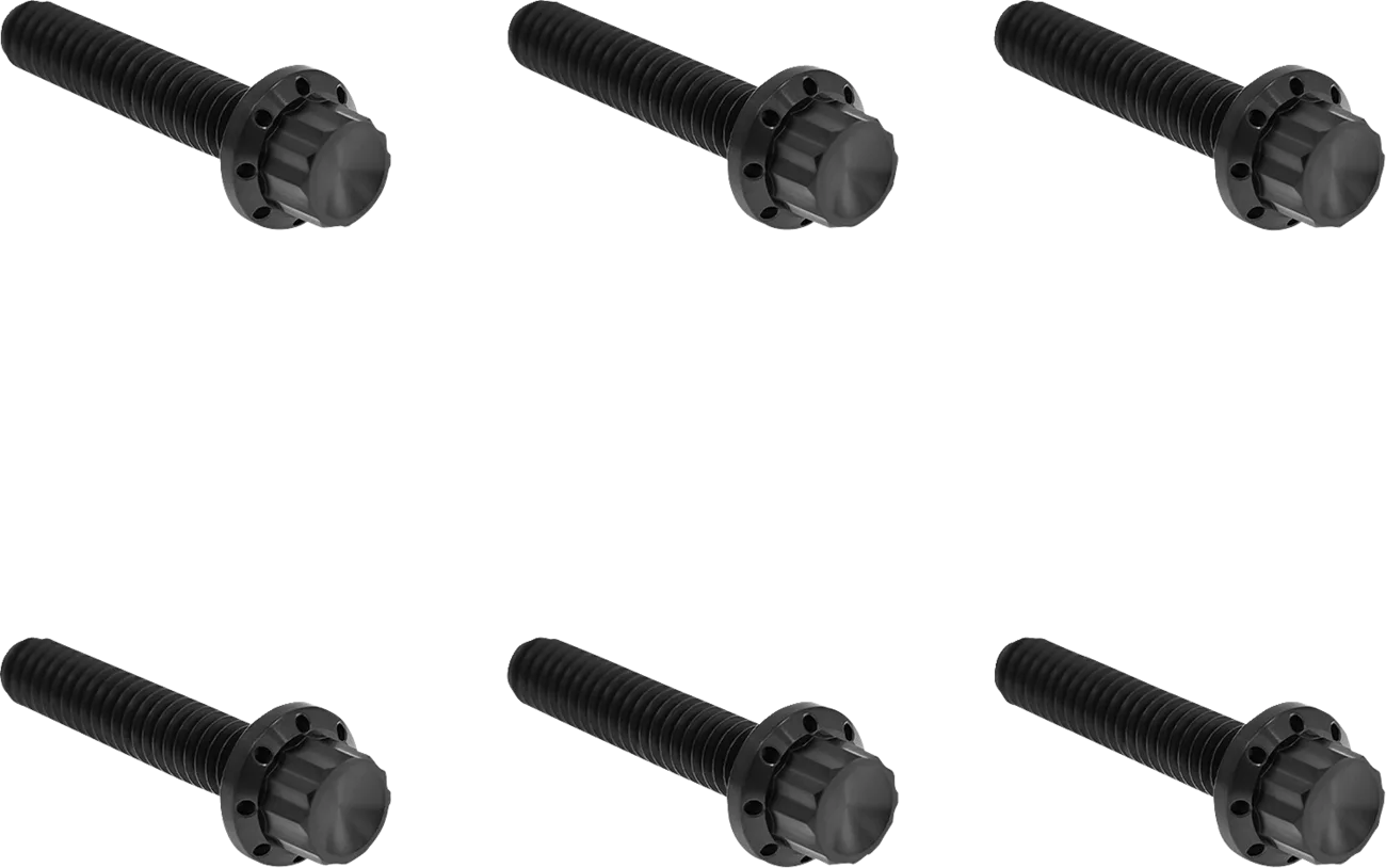 Transmission Side Cover Titanium 12-Point Bolt Kit