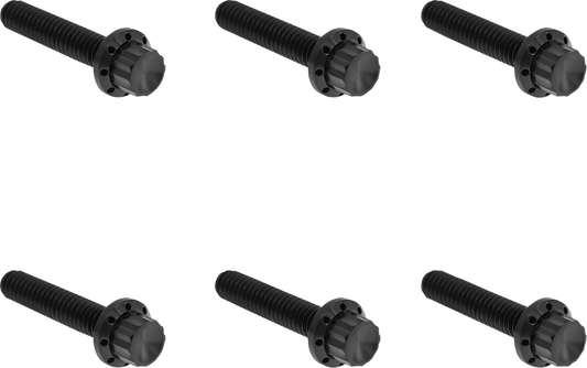 Transmission Side Cover Titanium 12-Point Bolt Kit