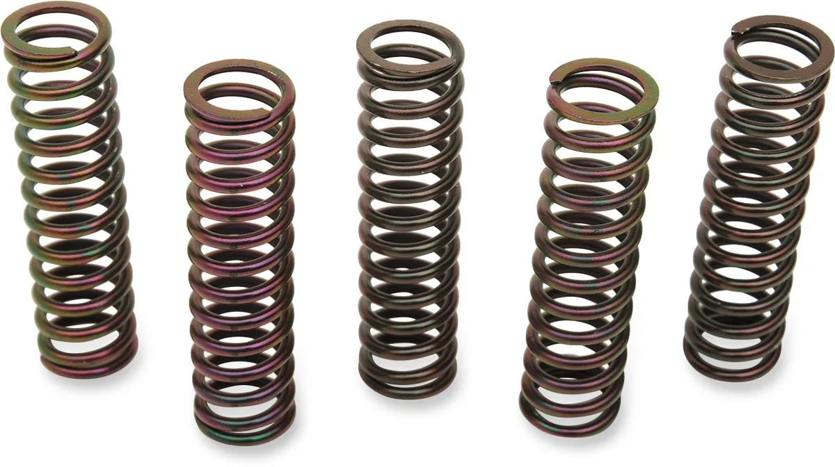 Clutch Spring Kit