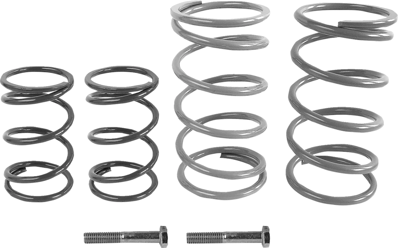 Economy Clutch Kit