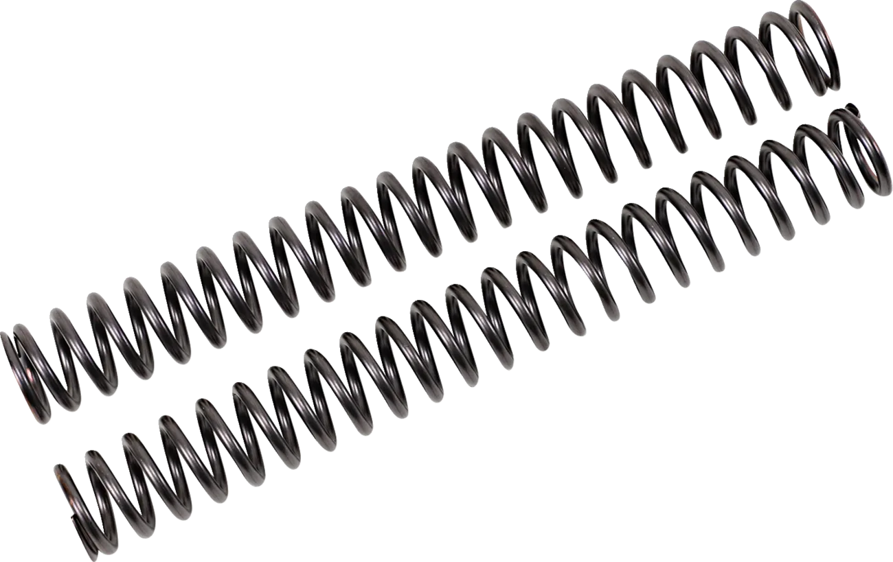 Fork Springs for FKS Cartridge Kit