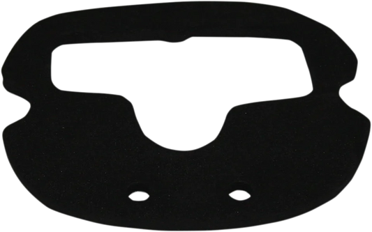 Squareback Taillight Gasket
